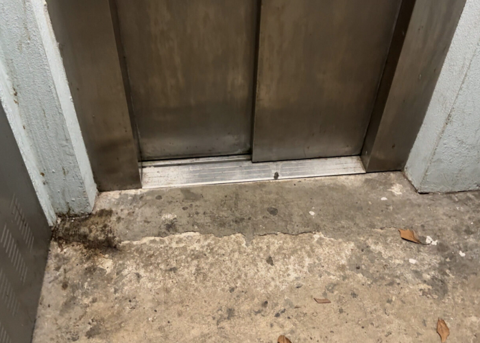 Promusa: massa anys mirant cap a una altra banda