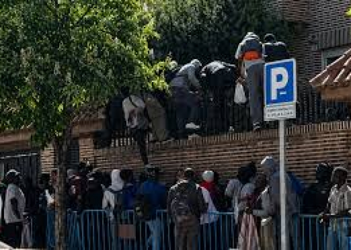 Una regularització sense planificació: quan la política migratòria respon a interessos electorals
