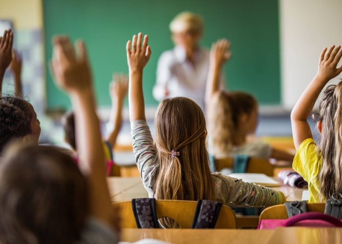 excelencia escuelas